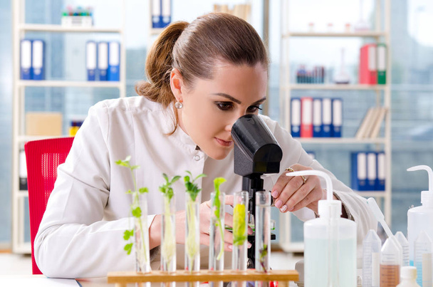 Female biotechnology scientist chemist working in the lab  - Photo, Image