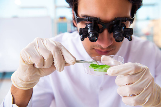 Hombre biotecnológico científico químico que trabaja en el laboratorio
 - Foto, imagen