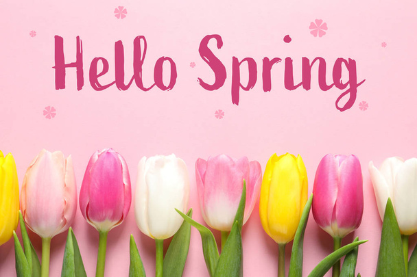 Flat lay composizione di bei fiori e testo Ciao Primavera su sfondo di colore
 - Foto, immagini