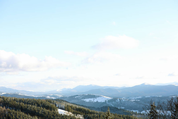 Beautiful mountain landscape with forest on sunny day in winter - Valokuva, kuva