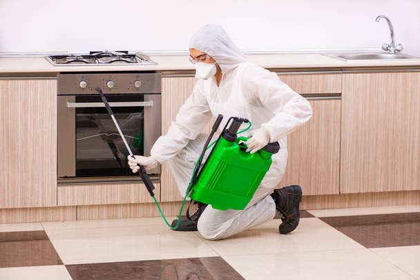 Professional contractor doing pest control at kitchen - Foto, Bild