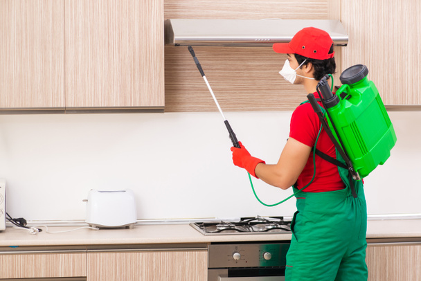 Професійний підрядник здійснює контроль над шкідниками на кухні
 - Фото, зображення