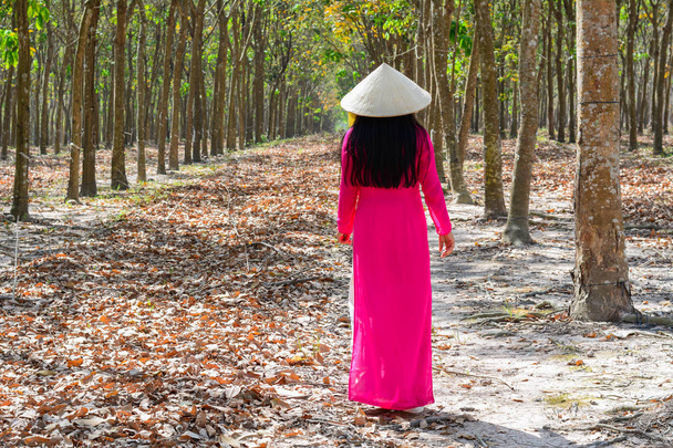 Aasialainen perinteisessä mekossa (Ao Dai), jolla on kartiomainen hattu, kävely maaseudulla Etelä-Vietnamissa
. - Valokuva, kuva