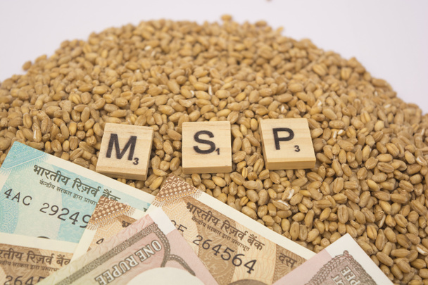 Maski、カルナタカ、インド - 1 月 19,2019: 木の概念の Msp または最小のサポート価格はインドの通貨で小麦粒の山の上ブロック. - 写真・画像