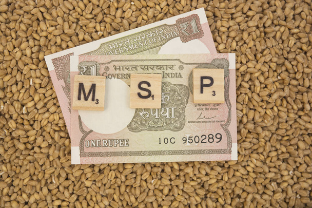 Maski,Karnataka,India - January 19,2019 : Concept of MSP or Minimum support price of Wooden blocks on pile of wheet grains with Indian currency. - Photo, Image