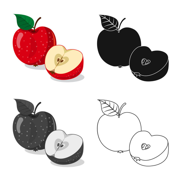 Isolated object of vegetable and fruit logo. Set of vegetable and vegetarian stock vector illustration. - Vektor, obrázek