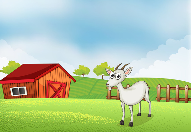 Una cabra blanca en la granja
 - Vector, imagen