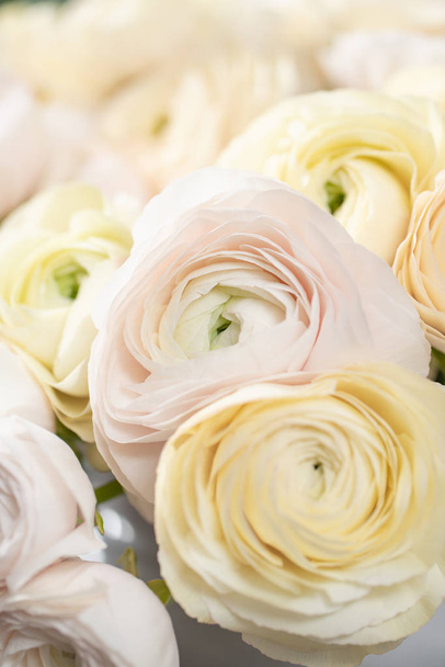Taza de mantequilla persa. Ramo de flores ranúnculo de color rosa pálido y amarillo pastel en jarrón de vidrio. Fondo de pantalla vertical
 - Foto, imagen