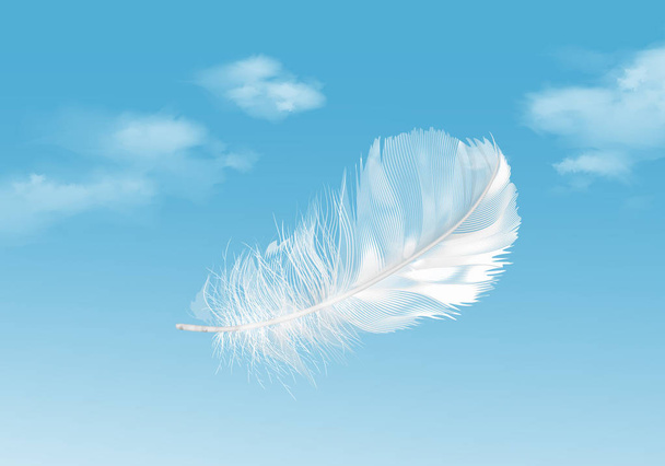 Векторная иллюстрация плавающего белого пера на голубом фоне неба
 - Вектор,изображение