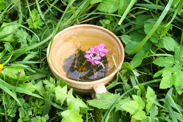 Naturkräutertee mit medizinischem Feuerkraut frische lila Blüten und Blätter in Keramiktasse auf grünem Sommergras. - Foto, Bild
