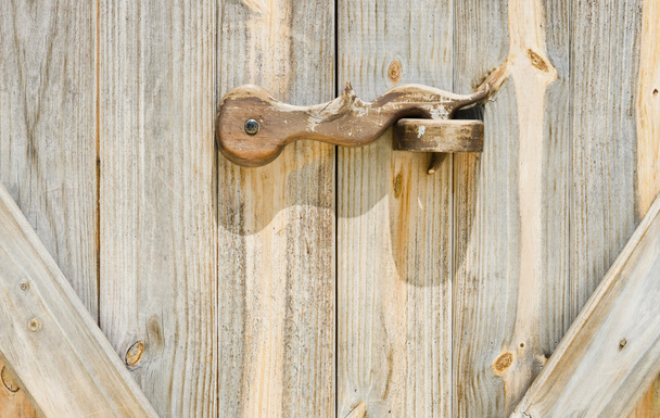 Wooden door - Photo, image