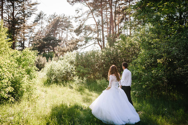 bride and groom walking in scenic landscape before wedding ceremony  - Фото, изображение