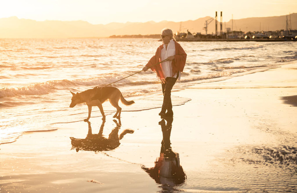 Beautiful retired older woman and pet german shepard dog walking along the shore sea ocean on beach in Companionship Benefits of animals Keeping active Retirement lifestyle and Dog friendly tourism. - Foto, immagini