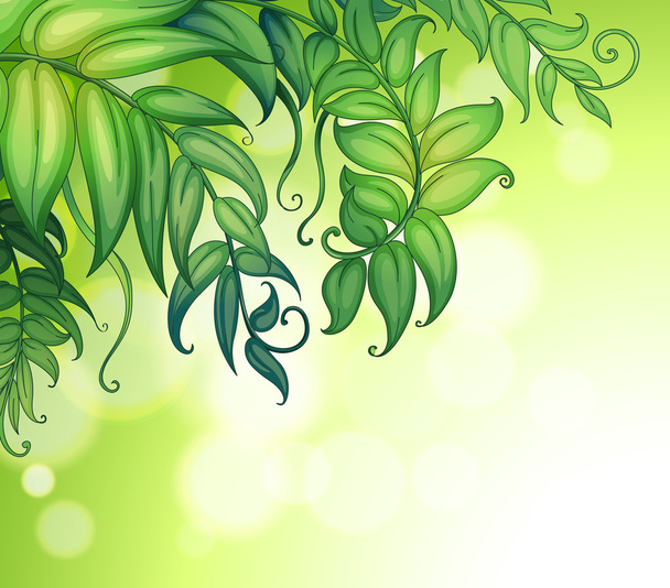 Um papel especial com folhas verdes
 - Vetor, Imagem
