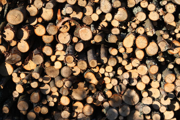 Stos drewna opałowego przygotowany na sezon zimowy - Zdjęcie, obraz