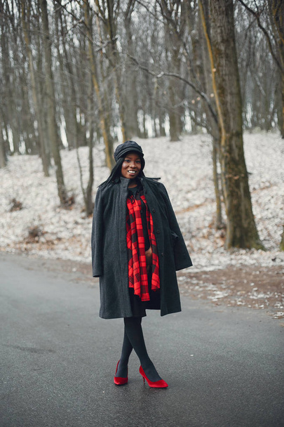 Elegant black girl in a winter park - Фото, зображення