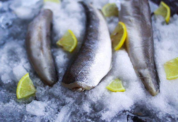 Poisson de mer cru frais et peces de citron sur la surface de glace
. - Photo, image
