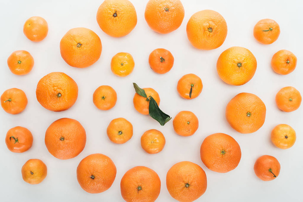 top view of ripe bright orange tangerines on white background - Фото, изображение