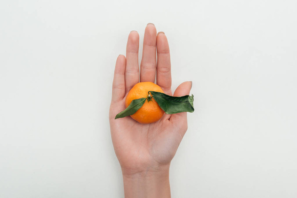 partial view of woman holding whole bright tangerine in hand on white background - Foto, imagen