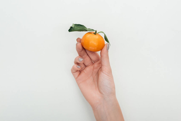 cropped view of woman holding tangerine with green leaves on white background - Photo, Image