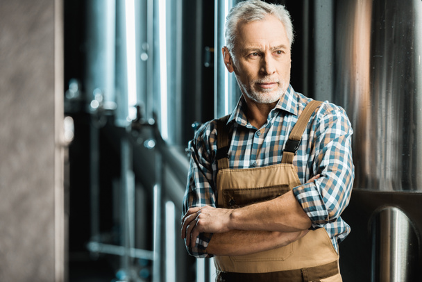 senior brewer posing with crossed arms in working overalls in brewery - Fotoğraf, Görsel