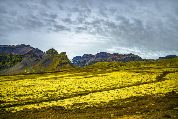Vadonban Vatnajokull Nemzeti Park déli részén Izland - Fotó, kép