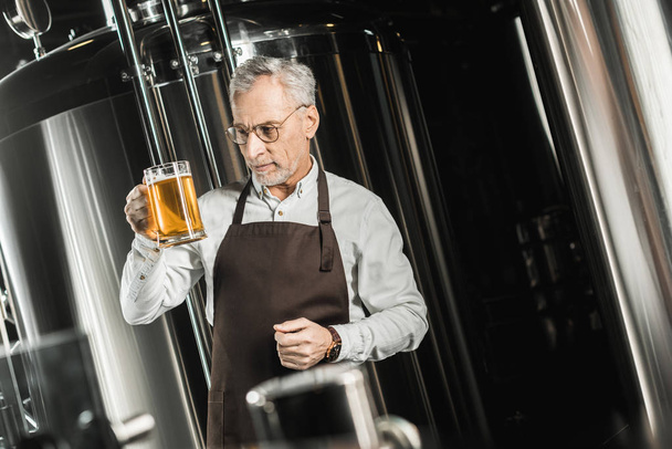 senior brewer examining beer in glass in brewery - Photo, Image