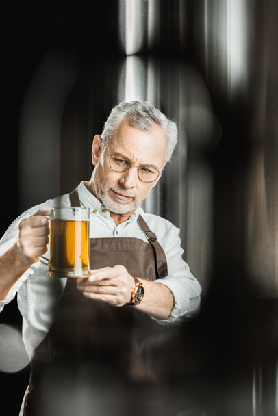 プロのビール醸造所のガラスにビールを調べる - 写真・画像