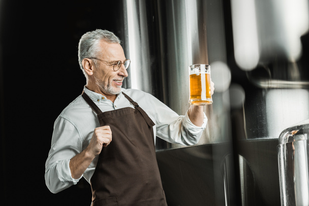 シニア男性ビール醸造所でビールのグラスを見て - 写真・画像