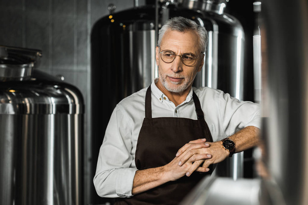 handsome senior brewer in apron standing in brewery - Photo, Image