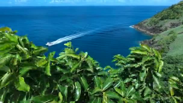 ピジョン島サン Lucias 歴史カリブ海 - 映像、動画