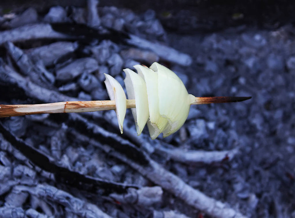 Čerstvé cibulové kroužky grilované na dřevěné tyčce - Fotografie, Obrázek