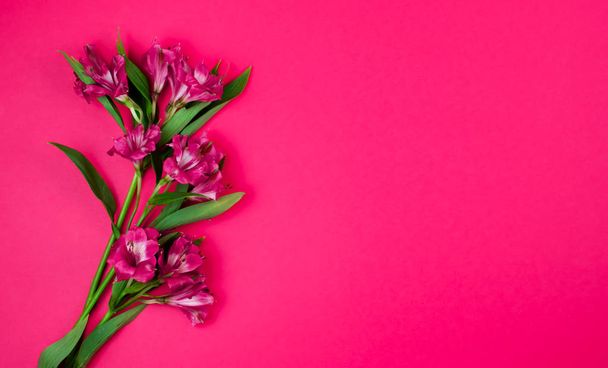 Congratulatory bouquet of red flowers on pink background. Postcard - Foto, imagen