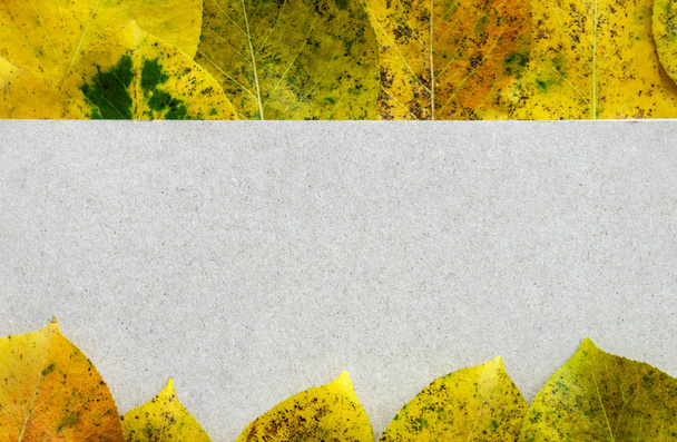 Top view with notepad and yellow leaves with empty space in the center - Fotografie, Obrázek