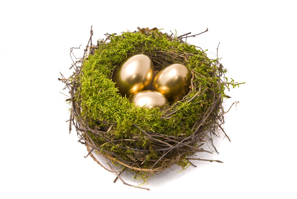 Golden eggs on a nest - Фото, изображение