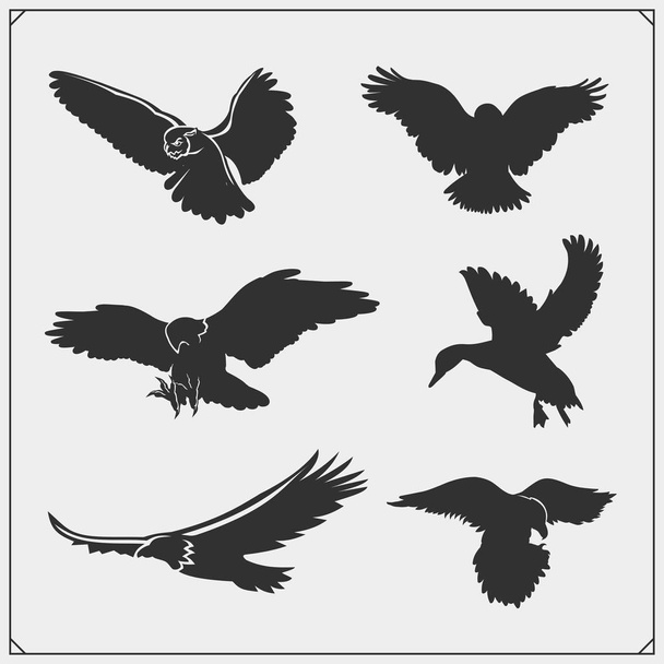Kuş silhouettes kümesi. Kuzgun, Kartal, baykuş, Şahin, Şahin ve ördek. T-shirtler için baskı tasarımı. - Vektör, Görsel