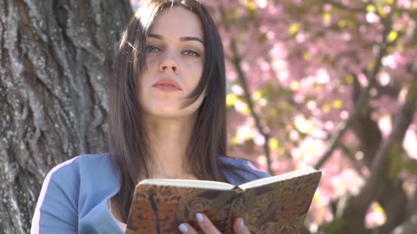Beautiful Girl Reads A Book Under The Amazing Color Of Sakura - Кадры, видео