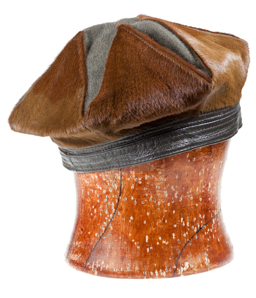 woman brown fur beret hat - Photo, Image