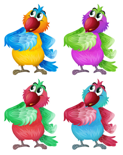 Чотири барвисті папуг
 - Вектор, зображення