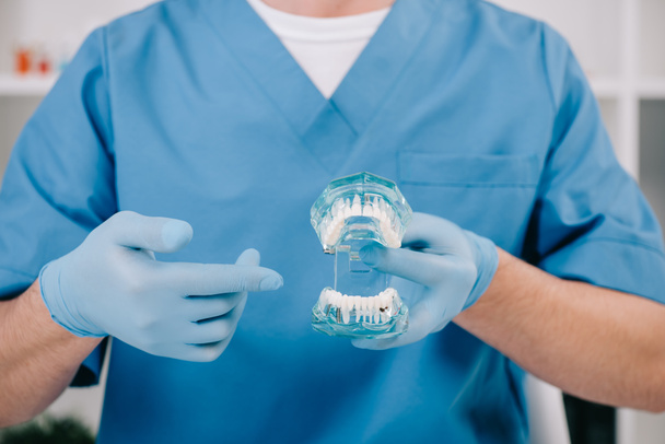 обрезанный вид ортодонта, указывающего пальцем на модель челюсти в клинике
 - Фото, изображение