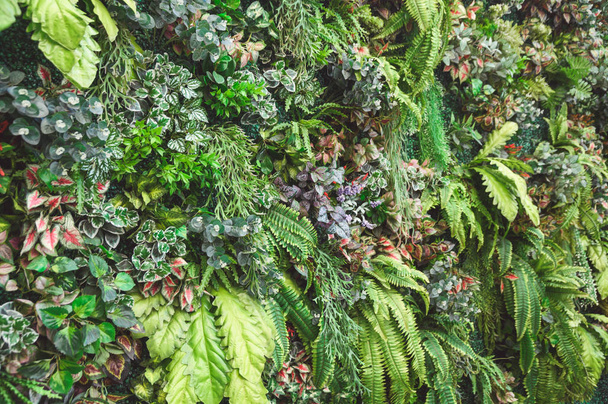 Vielzahl von grünen Blättern mit Pflanzen dekorativ an der Wand Hintergrund - Foto, Bild