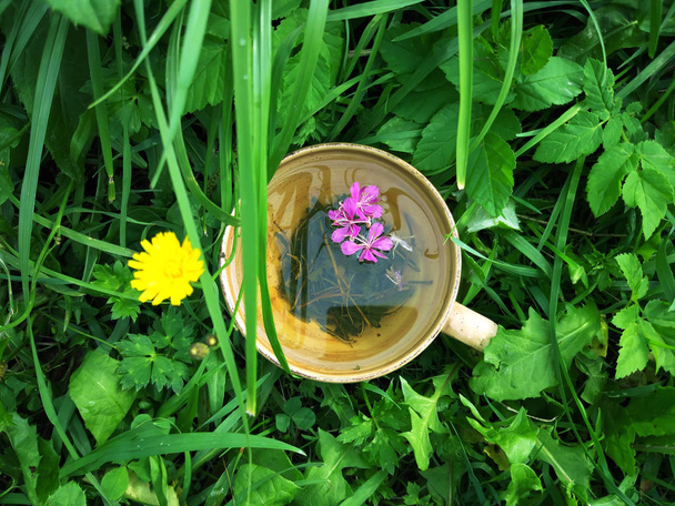 Naturkräutertee mit medizinischem Feuerkraut frische lila Blüten und Blätter in Keramiktasse auf grünem Sommergras. - Foto, Bild