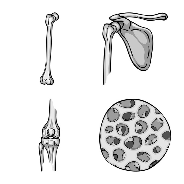 Vectorillustratie van de biologie en medisch teken. Collectie van biologie en skelet aandelensymbool voor web. - Vector, afbeelding
