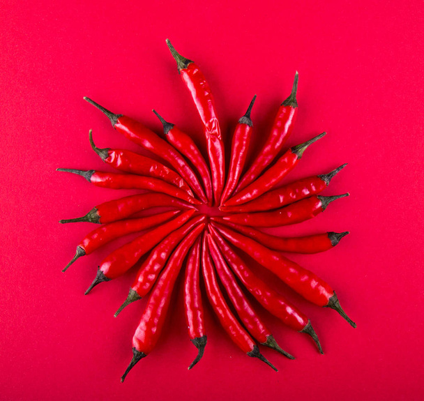 Small red chili peppers in circle shape over on red background. Flat lay. Top view. Overhead. Copy space. - Valokuva, kuva