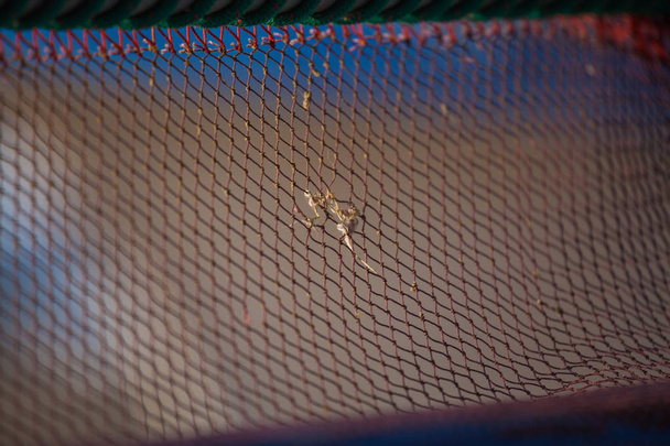 Fishing net with some holes and a little repair - Foto, afbeelding