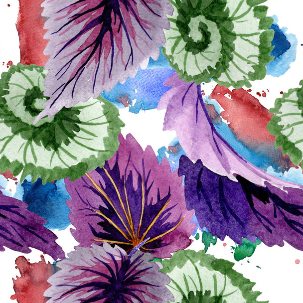 Begonia liści zielony i fioletowy. Zestaw ilustracji tle akwarela. Bezszwowe tło wzór. - Zdjęcie, obraz