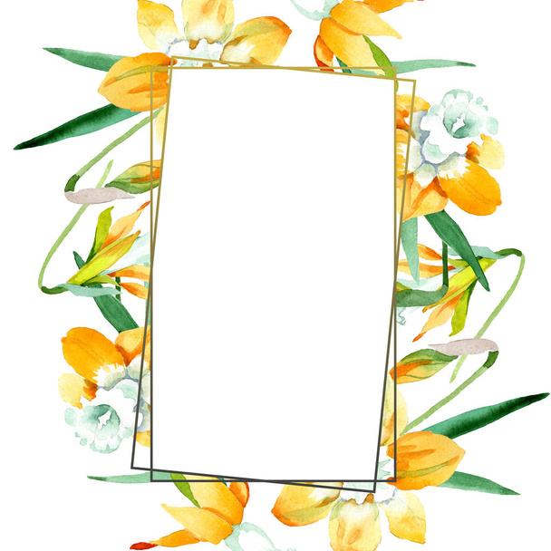 Gele narcis floral botanische bloem. Aquarel achtergrond afbeelding instellen. Frame grens ornament vierkant. - Foto, afbeelding