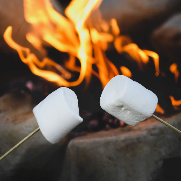 Čtvercový obraz pražení marshmallows nad táborovým ohněm, zastřelil kopie prostoru filtru použité, rozmazané pozadí pro překryvný text - Fotografie, Obrázek