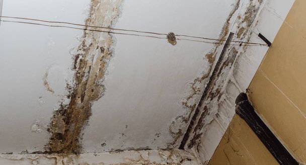 Grandi macchie umide e crepe sul soffitto della stanza della casa domestica dopo una forte pioggia e molta acqua - Immagine
 - Foto, immagini