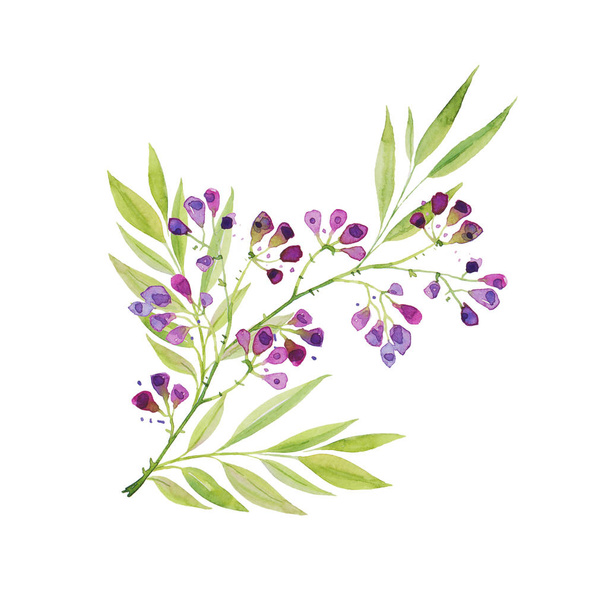 A branch of beautiful delicate purple flowers with leaves. Hand drawing for greeting cards, greetings, print. - Foto, Imagem